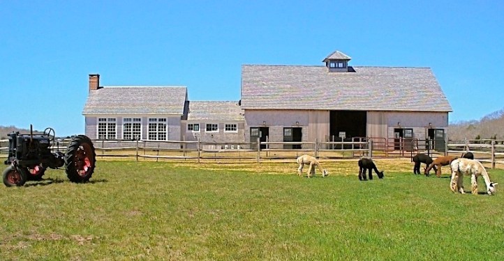 Island Alpaca Barn and Pasture