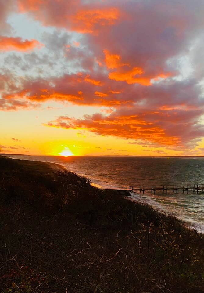 45423997_10215735823362481_6362482574253621248_n